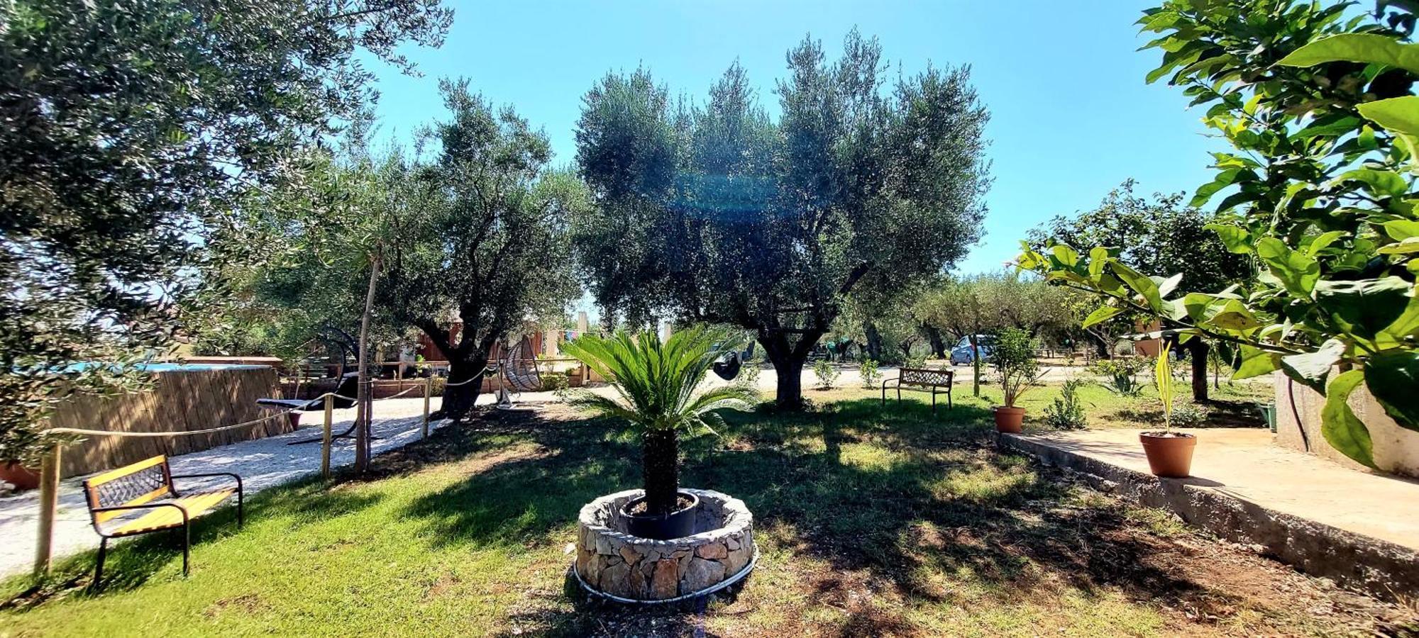 Guest house Parco Esmeralda - Family E Breakfast Marina di Camerota